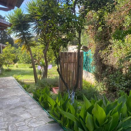 Vila Casa Piccolino Paramonas  Exteriér fotografie